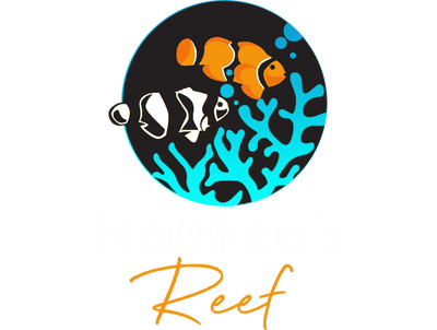 Matthew's Reef